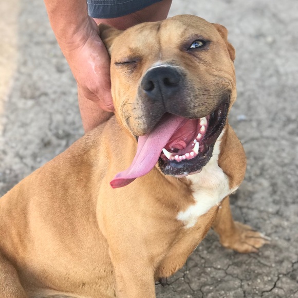 Meet your Posher, Alisa - Picture 1 of 1